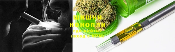 сатива Сосновка
