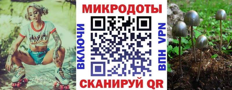 Псилоцибиновые грибы мицелий  что такое   Светогорск 